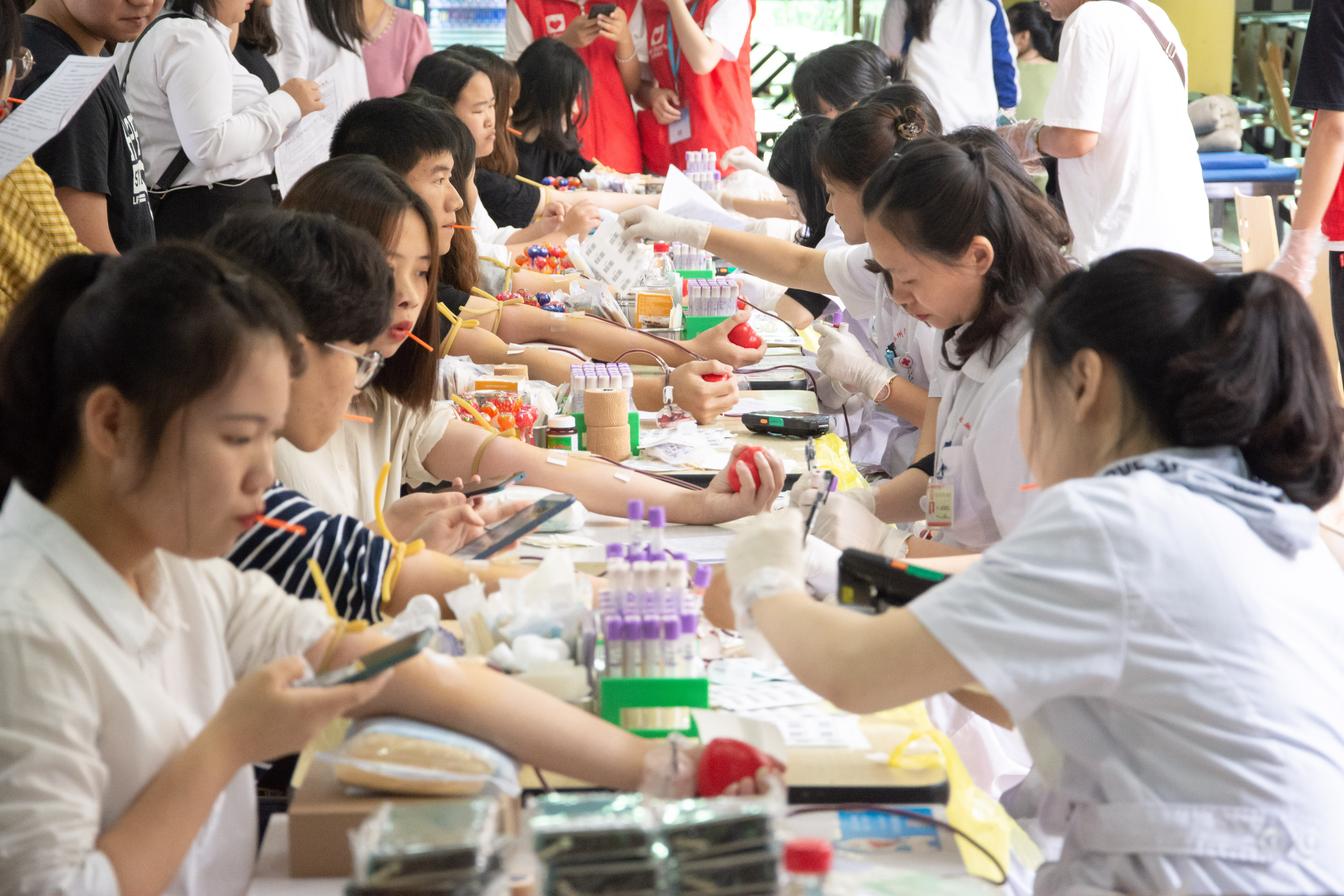 _DSC2918.jpg _DSC2918.jpg