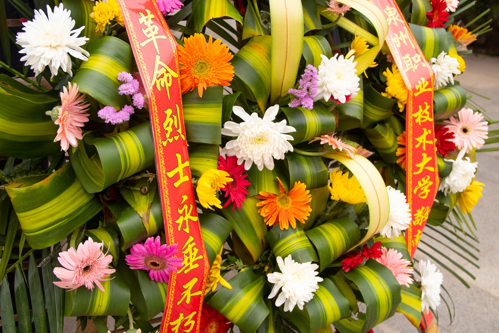 JJH-0222.jpg JJH-0222.jpg